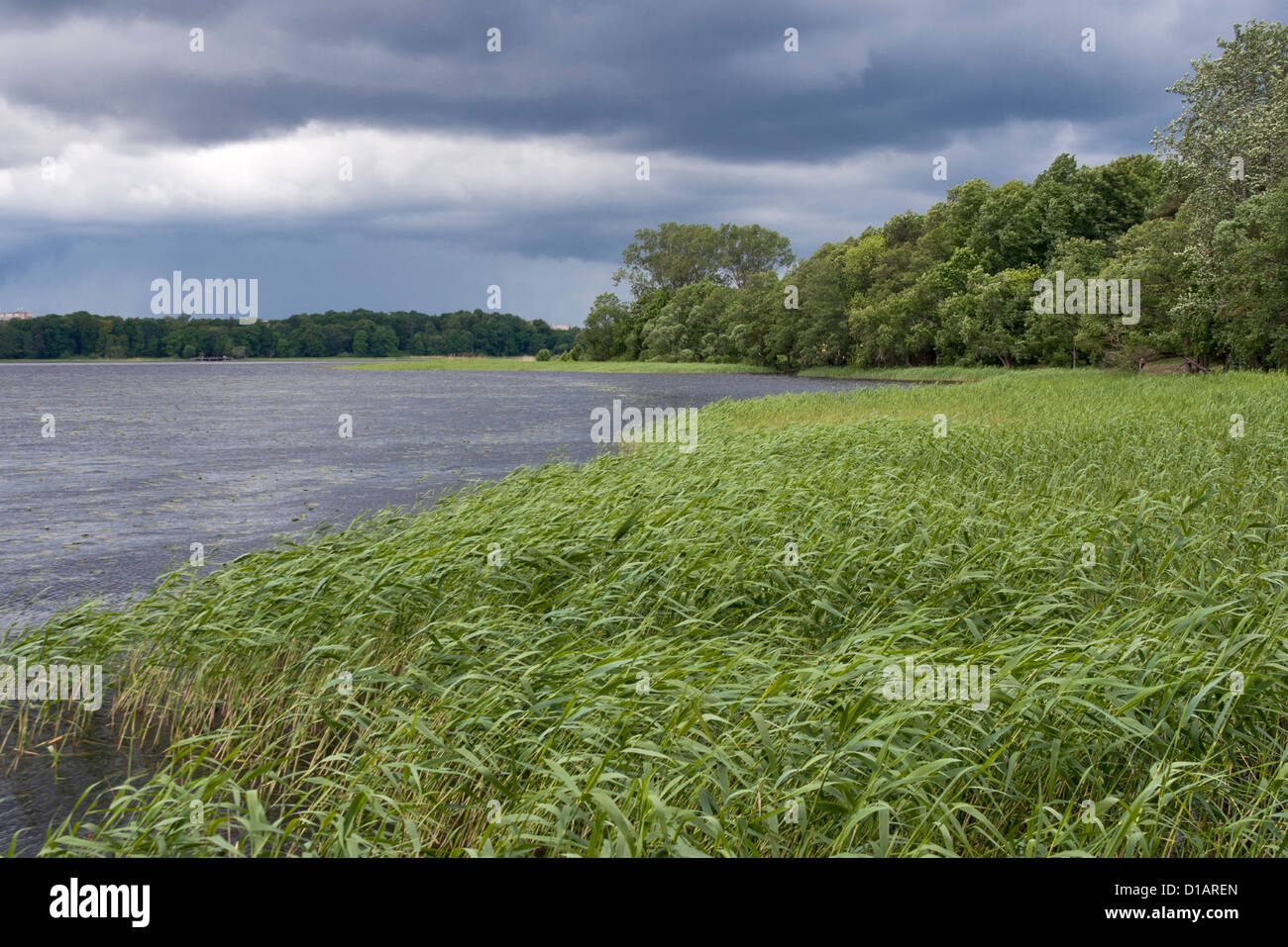 Juglas See am regnerischen Tag. Riga ethnographische Museum vor Ort, Lettland. Stockfoto