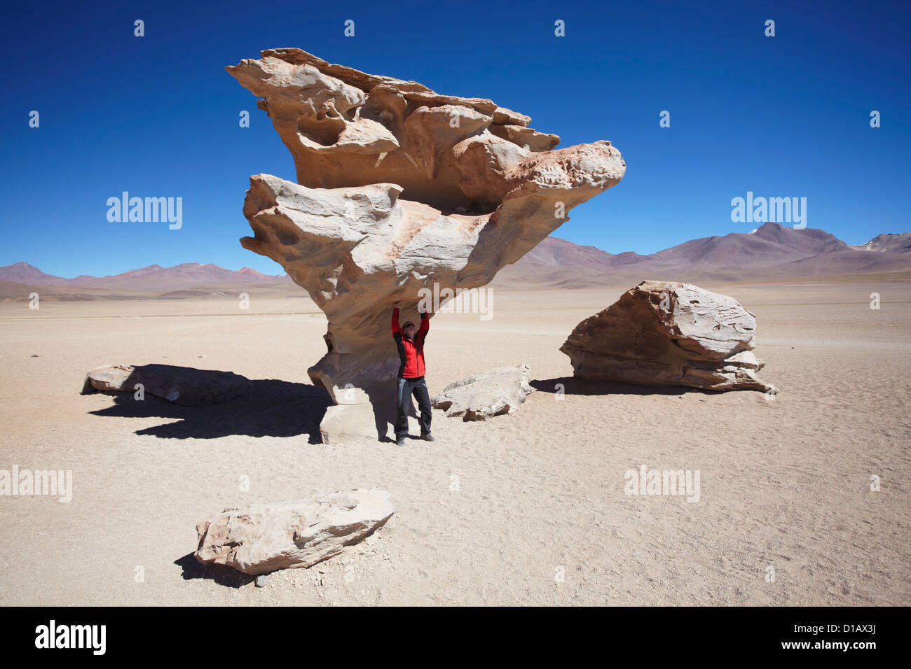 Frau posiert unter Arbol de Piedra (Stone Tree) in Altiplano, Abteilung Potosi, Bolivien Stockfoto