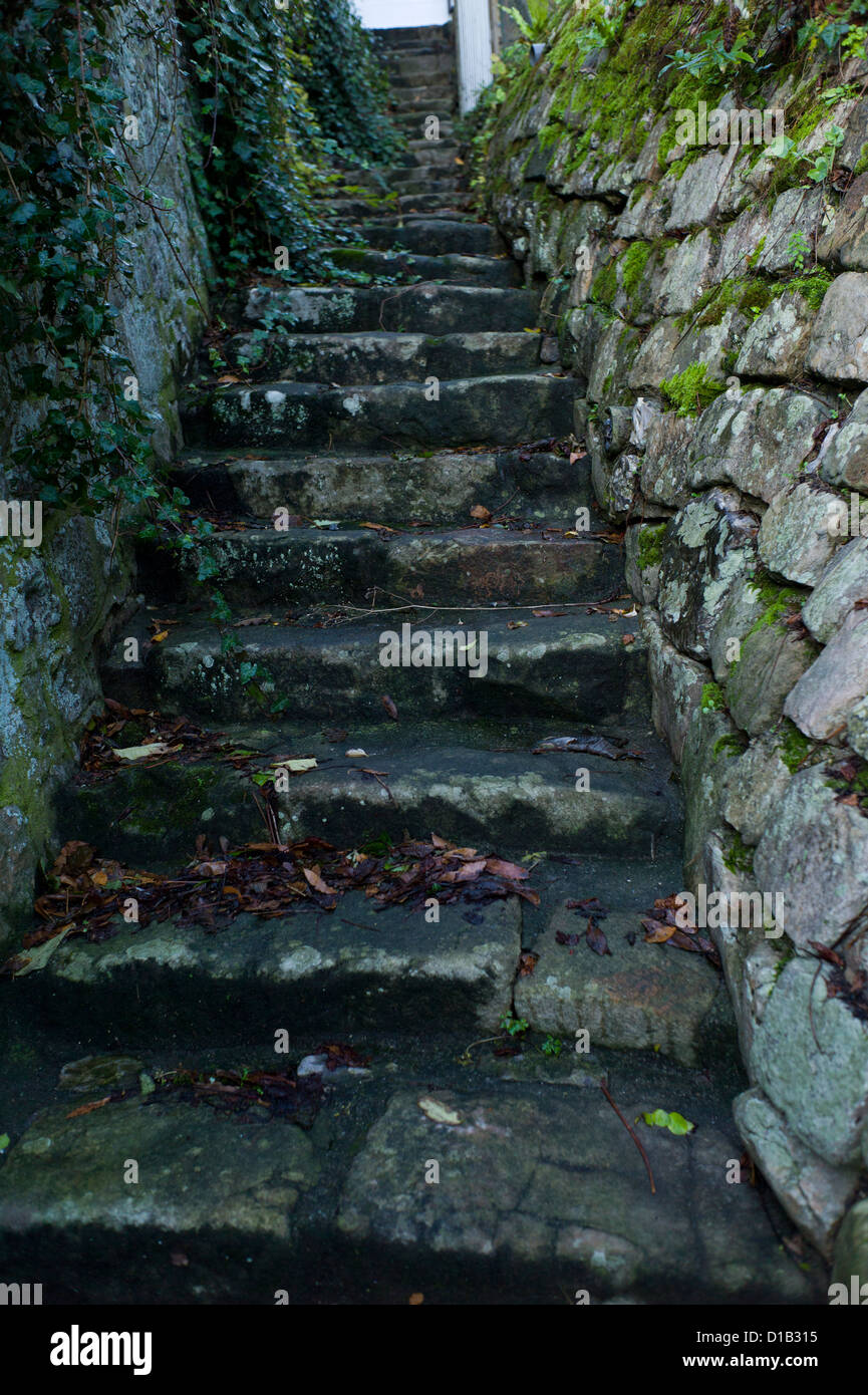 Alte Steintreppe, Steinmauer, Moos, Normandie, Frankreich Stockfoto
