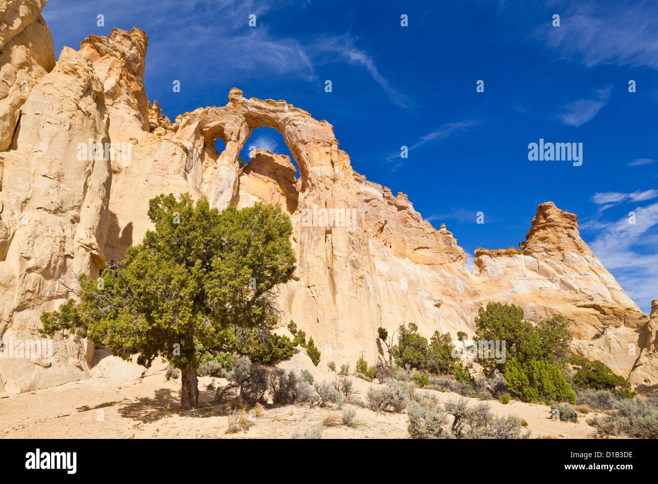 Grosvenor Arch, Bryce, Grand Staircase-Escalante National Monument, Utah, Vereinigte Staaten von Amerika, Nordamerika Stockfoto