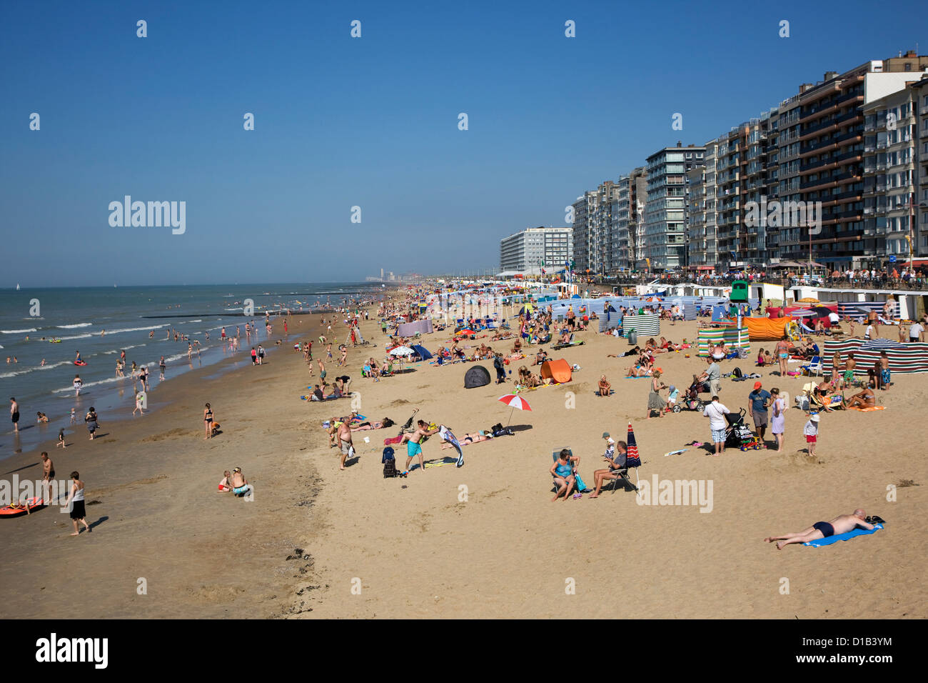 Sonnenbaden im Sommer Sonnenbaden hinter Windschutz am Strand entlang der Nordseeküste im belgischen Badeort, Belgien Stockfoto