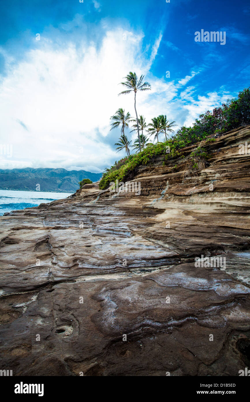 Deich, Palm Tree, Hawaii, Oahu, Honolulu, Ozean-Landschaft, Scenic Stockfoto