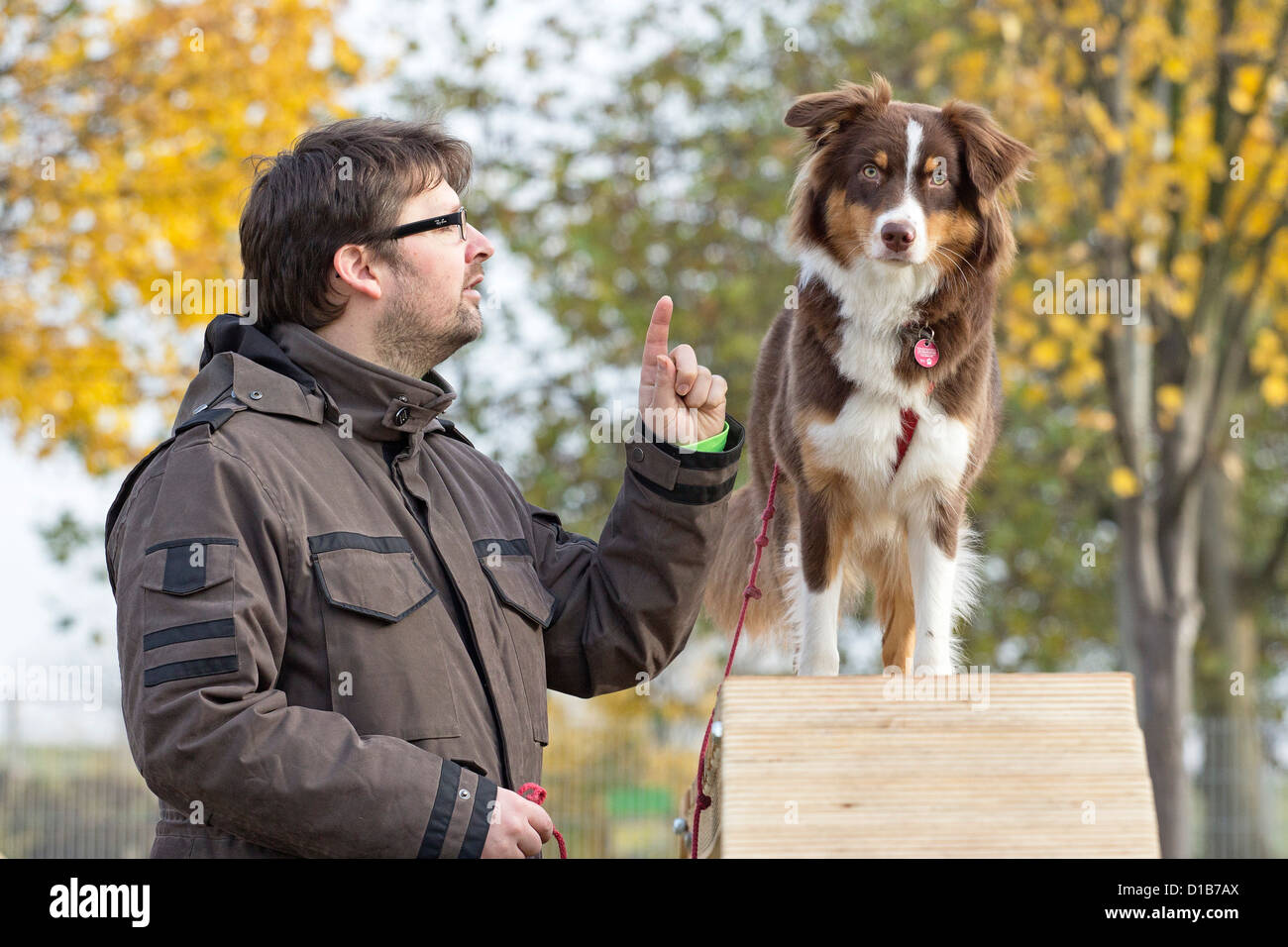 Beweglichkeitstraining an ein Haustier Hundeschule Stockfoto