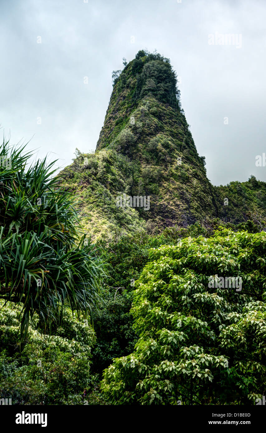 Wunderschöne hawaiianische Wahrzeichen. IAO Nadel am Iao Valley Nationalpark Maui. Stockfoto