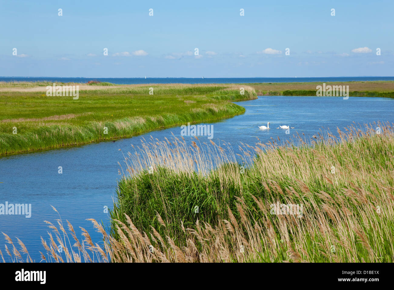 Halbinsel helnaes -Fotos und -Bildmaterial in hoher Auflösung – Alamy