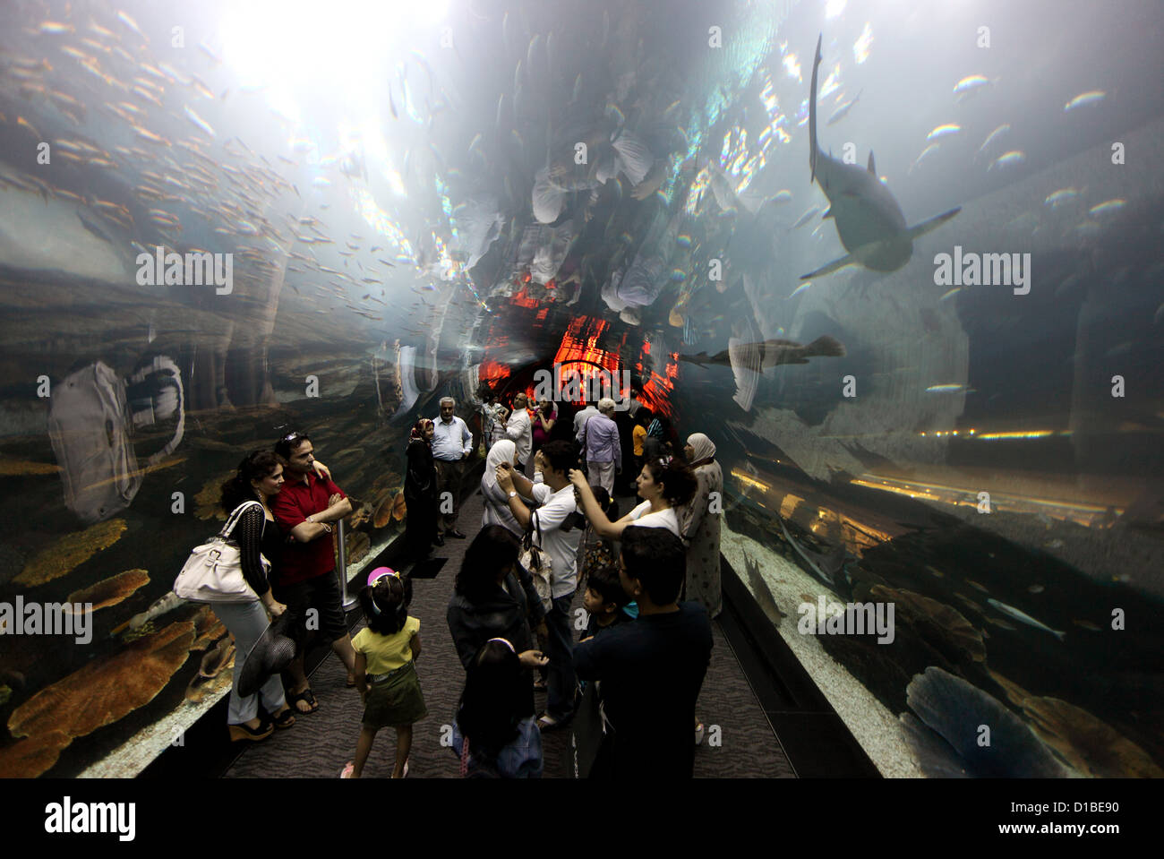 Dubai, Vereinigte Arabische Emirate, Dubai Aquarium Tunnel Besucher in der Dubai Mall Stockfoto