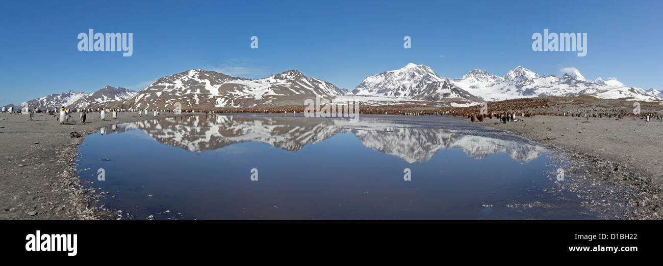 Panorama Bild von St. Andrews Bay zeigt Reflexion des schneebedeckten Berges in einem pool Stockfoto