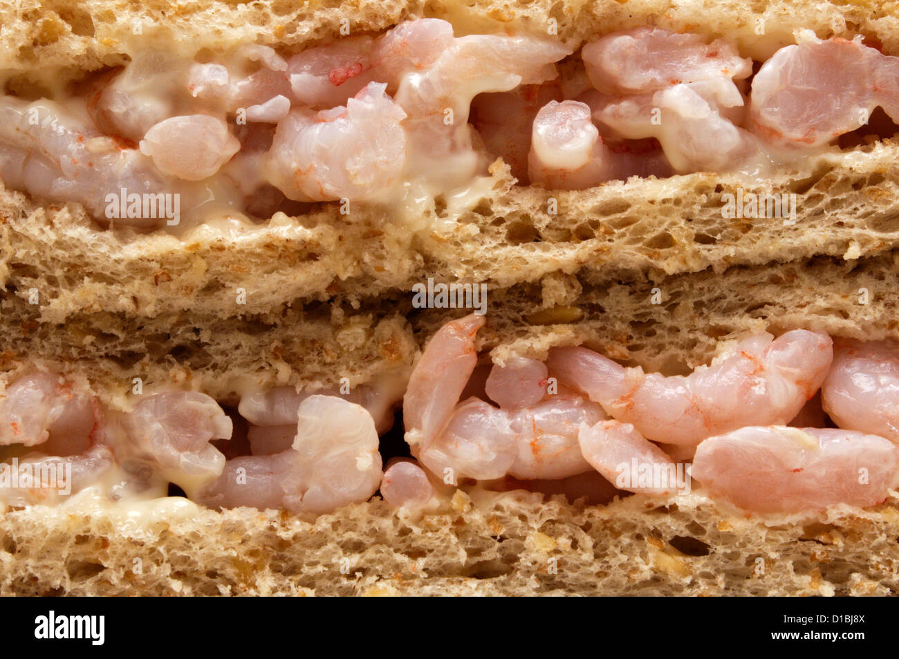 Die Schnittkante der beiden Garnelen Mayonnaise Sandwiches. Stockfoto