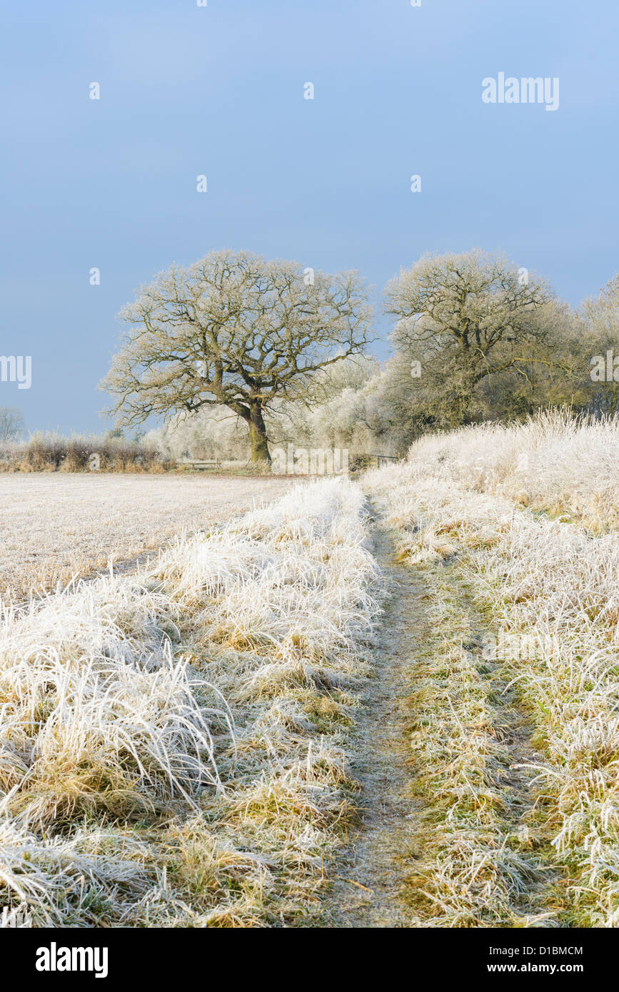 Oxfordshire Winterlandschaft Tackley, Oxfordshire, Vereinigtes Königreich Stockfoto
