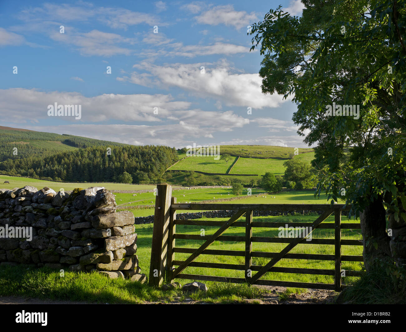 Appletreewick Yorkshire Dales National Park Stockfoto