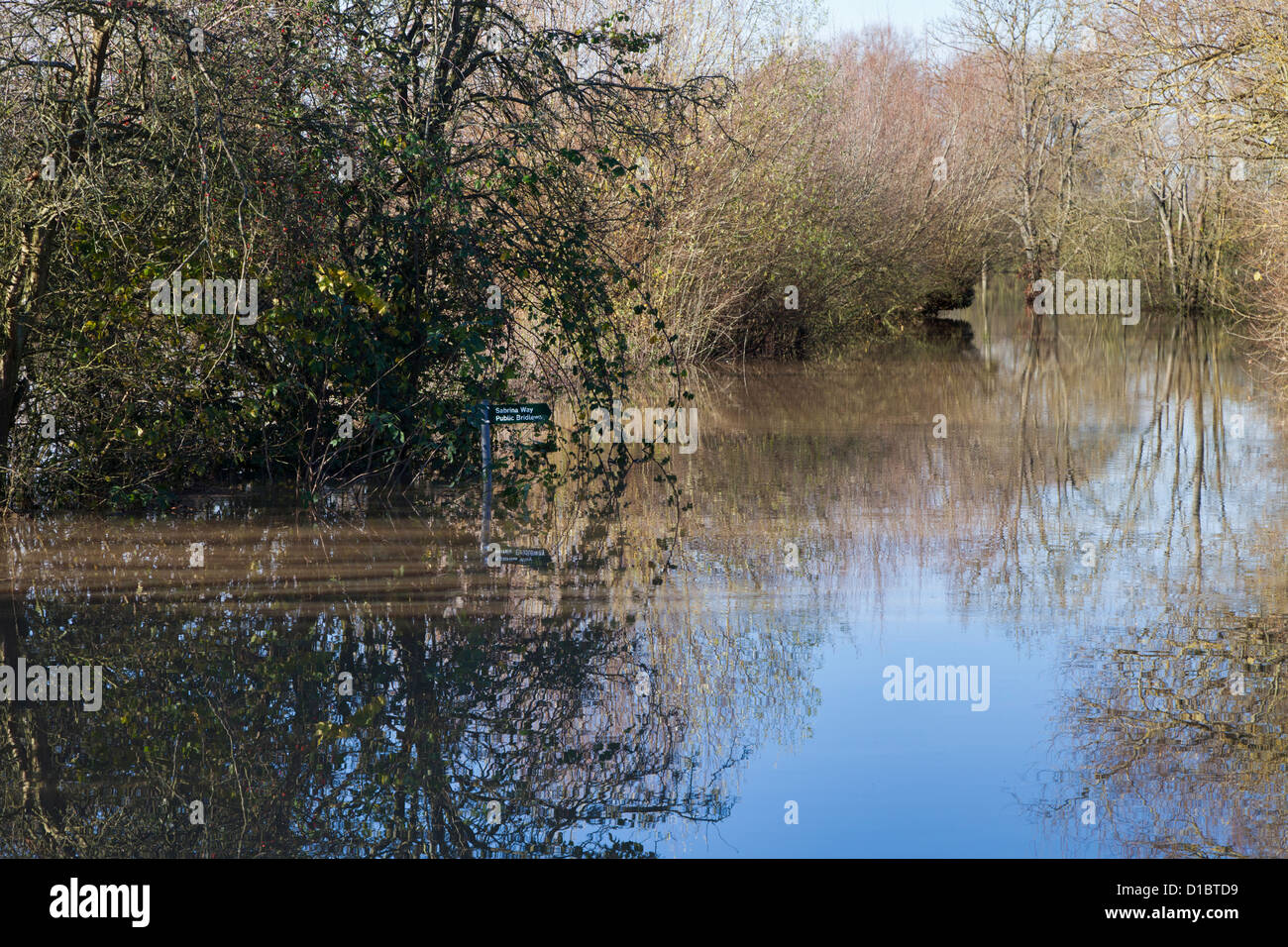 Überschwemmungen durch den Fluss Severn 29. November 2012 - Sabrina Weg entlang des Kanals Coombe Hügel eingetaucht, Gloucestershire, UK Stockfoto