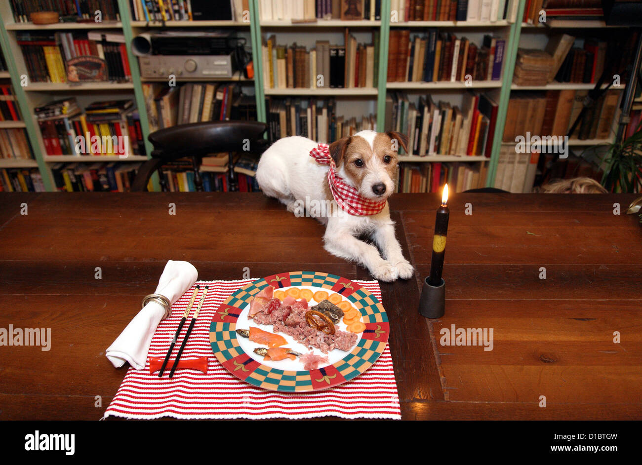 Berlin, Deutschland, Geburtstagsessen für einen Hund Stockfoto