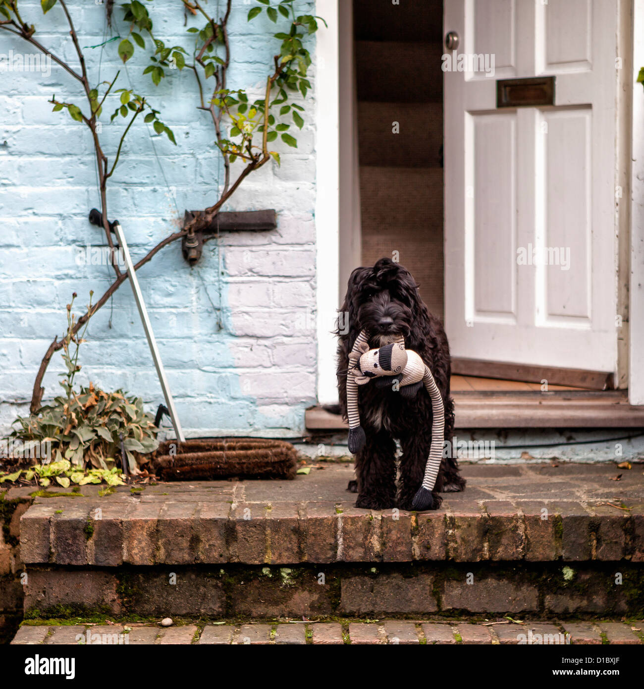 Hund Plüschtier an Haustür einer Hütte hält Stockfoto