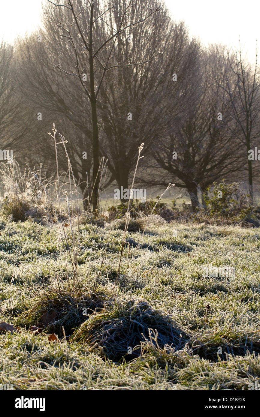Frost und Nebel quer durch London angesehen von Primrose Hill, London, 14. Dezember 2012 in London, Großbritannien Stockfoto