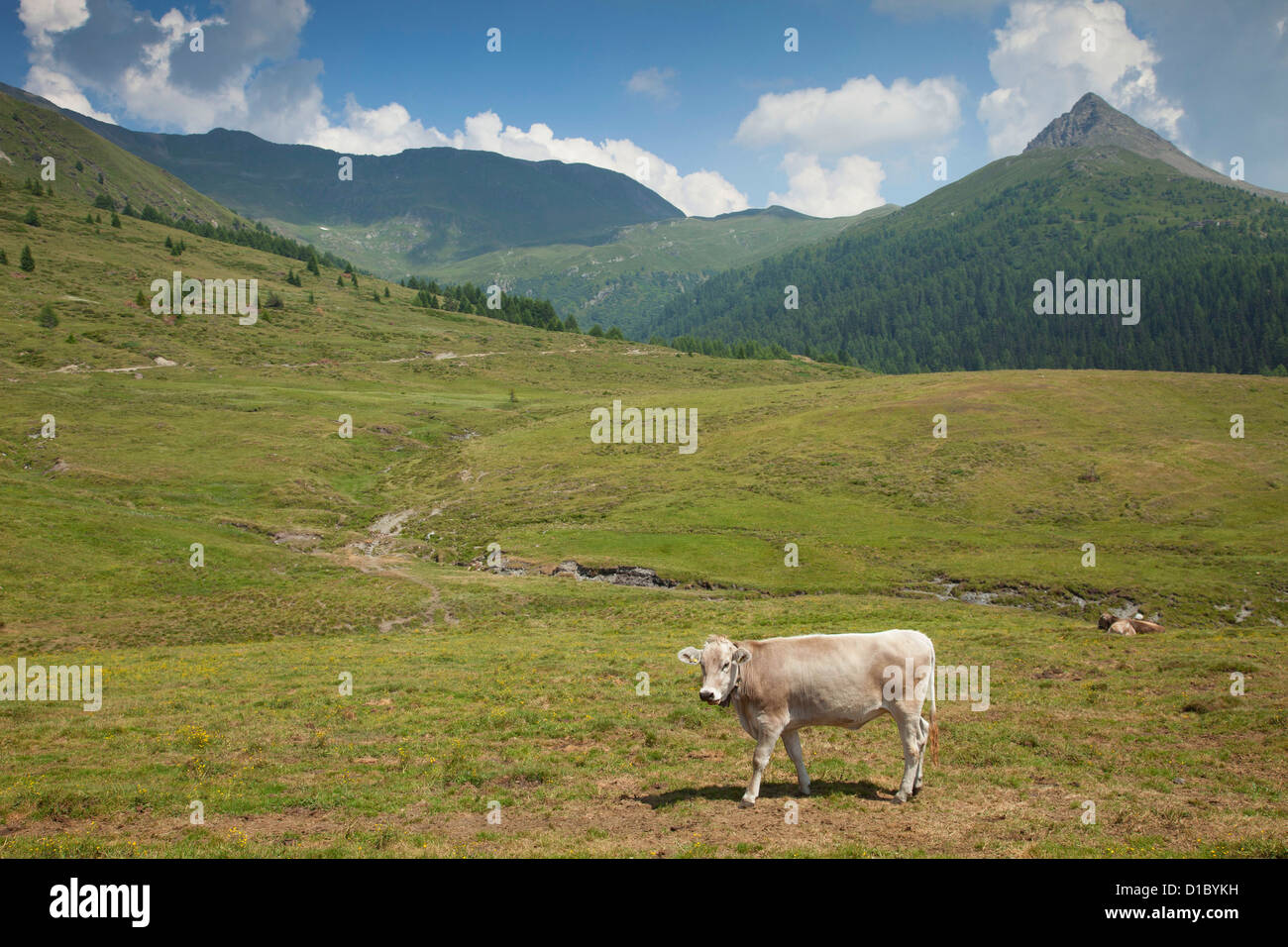 Italien, Trentino Alto Adige, Sextner Dolomiten. Stockfoto