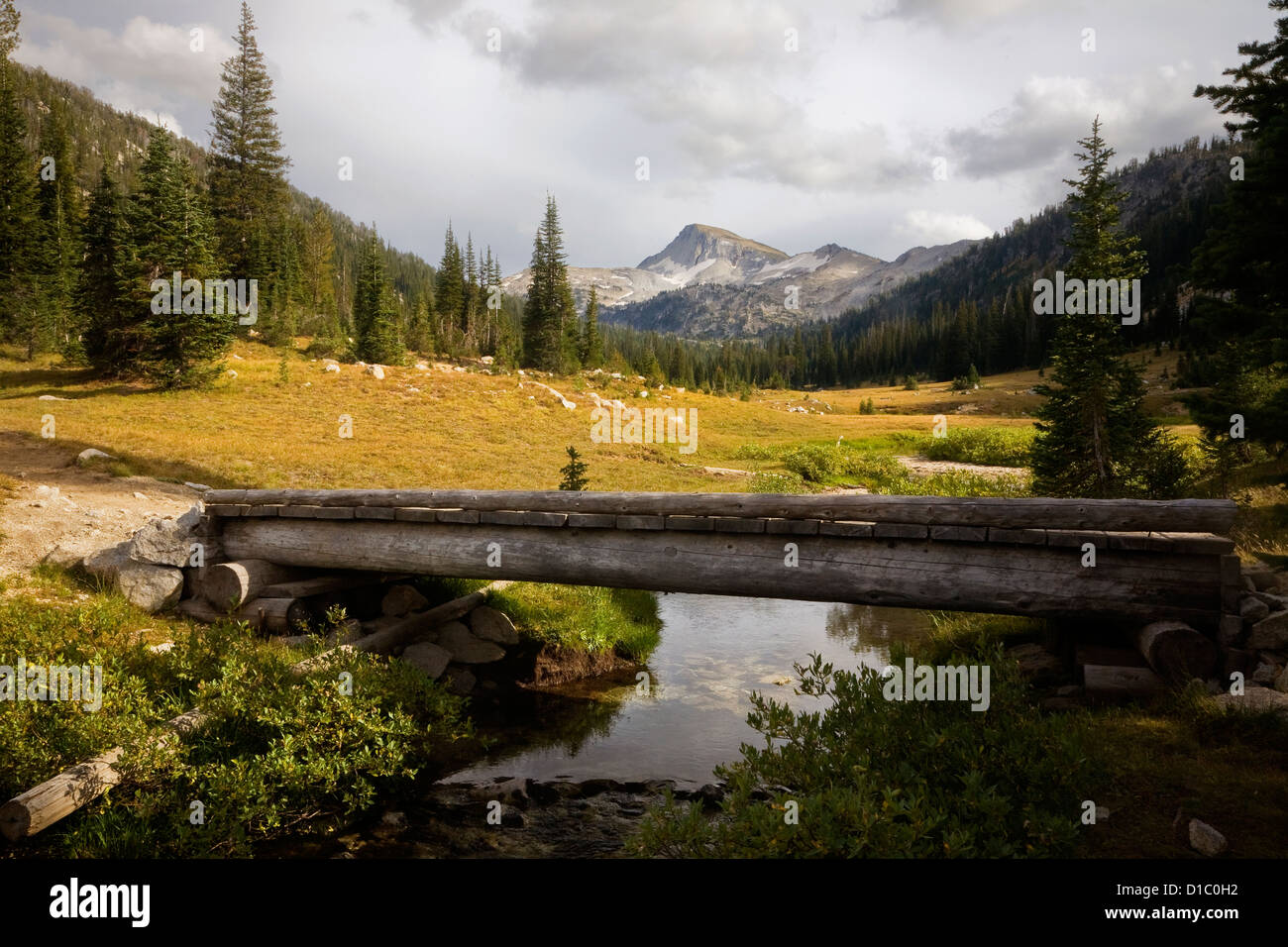 Eagle Cap aus offenen Wiesen des East Lostine Valley im Bereich Eagle Cap Wildnis des Wallowa-Whitman National Forest. Stockfoto