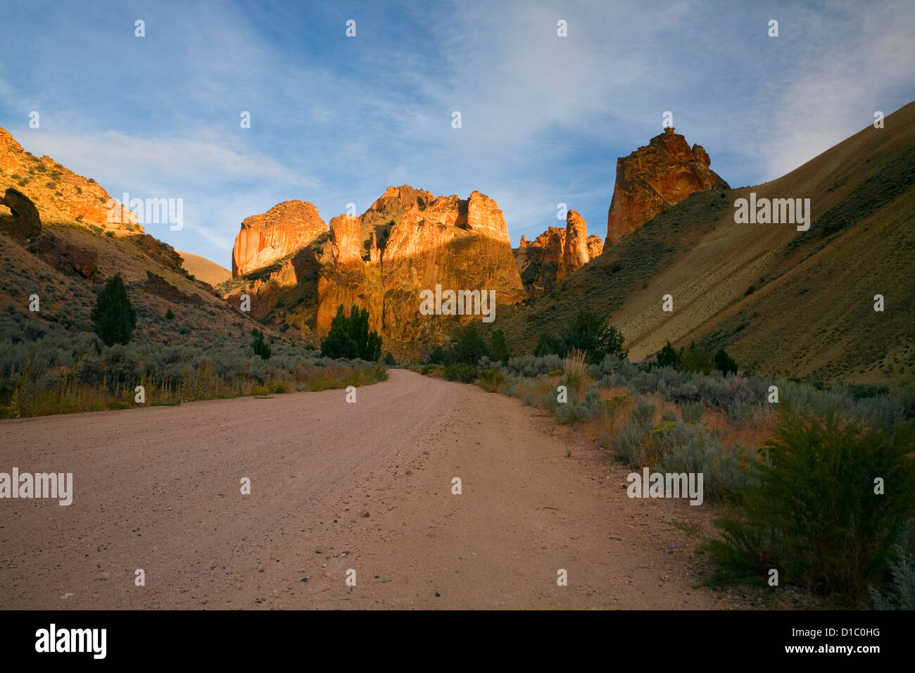 OR00849-00... OREGON - Straße durch die gewundenen Leslie Gulch. Stockfoto