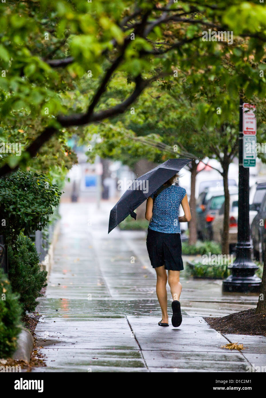 Eine Frau allein zu Fuß an einem regnerischen Tag mit einem Regenschirm - USA Stockfoto