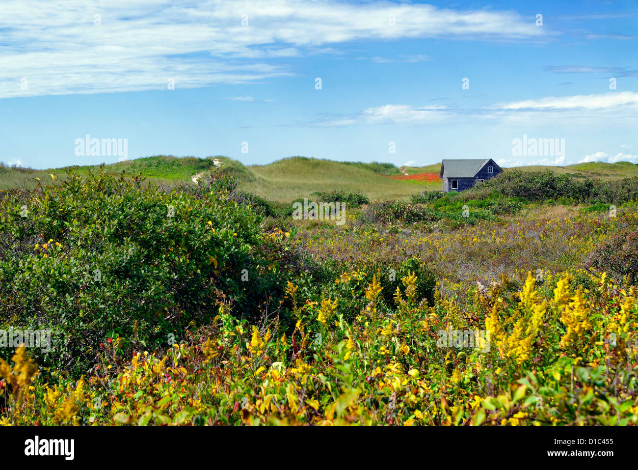 Beach Shack, Aquinnah, Martha's Vineyard, Massachusetts, USA Stockfoto