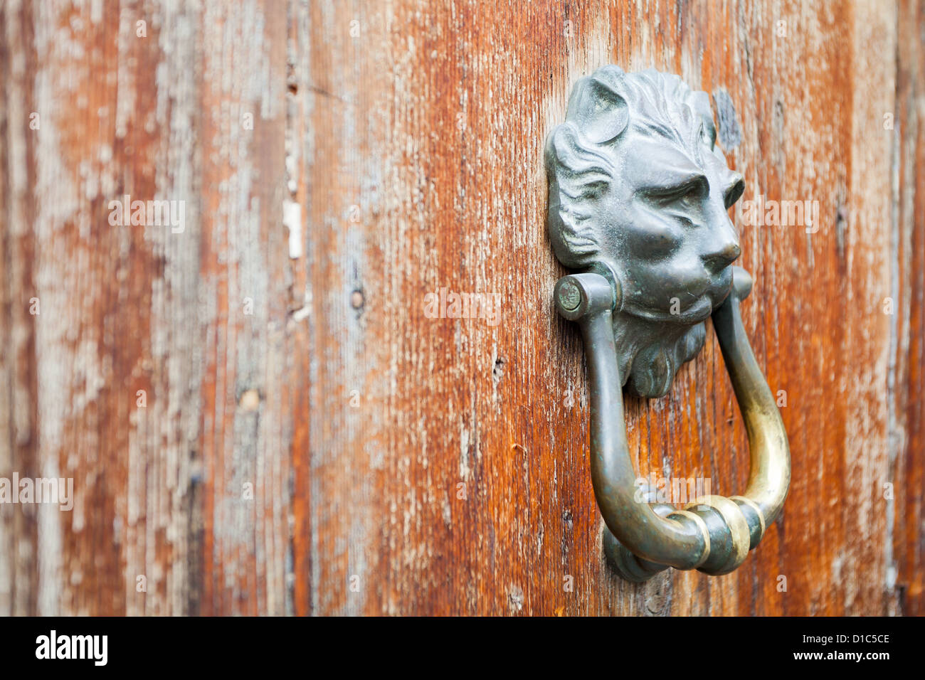 alte Bronze Löwenkopf geformt Türgriff auf schäbige urban Tür Stockfoto