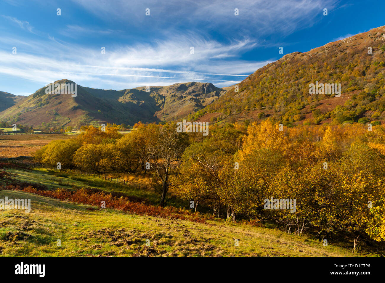 Blick auf hohe Hartsop Dodd, Lake District National Park. Stockfoto