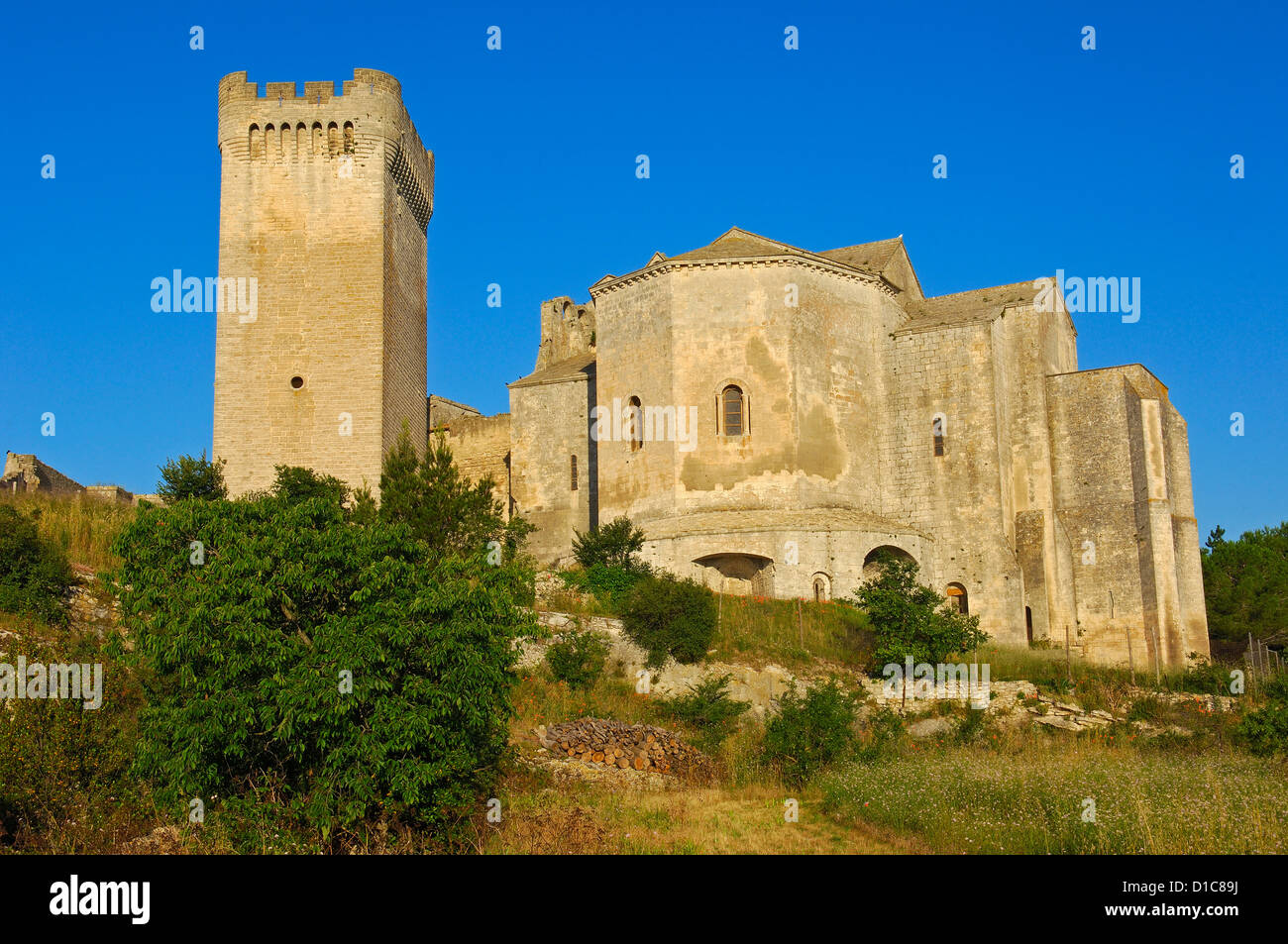 Montmajour Abtei in der Nähe von Arles. Arles. Bouches-du-Rhône. Der Provence. Frankreich Stockfoto