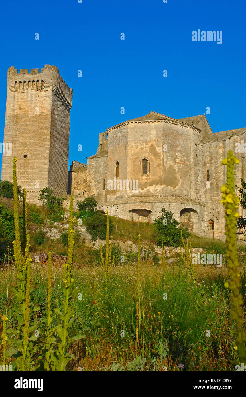 Montmajour Abtei in der Nähe von Arles. Arles. Bouches-du-Rhône. Der Provence. Frankreich Stockfoto