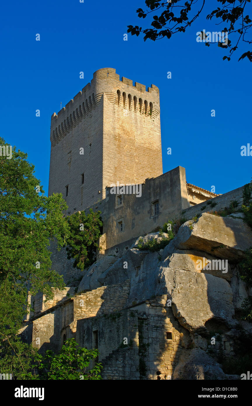 Montmajour Abtei in der Nähe von Arles. Arles. Bouches-du-Rhône. Der Provence. Frankreich Stockfoto