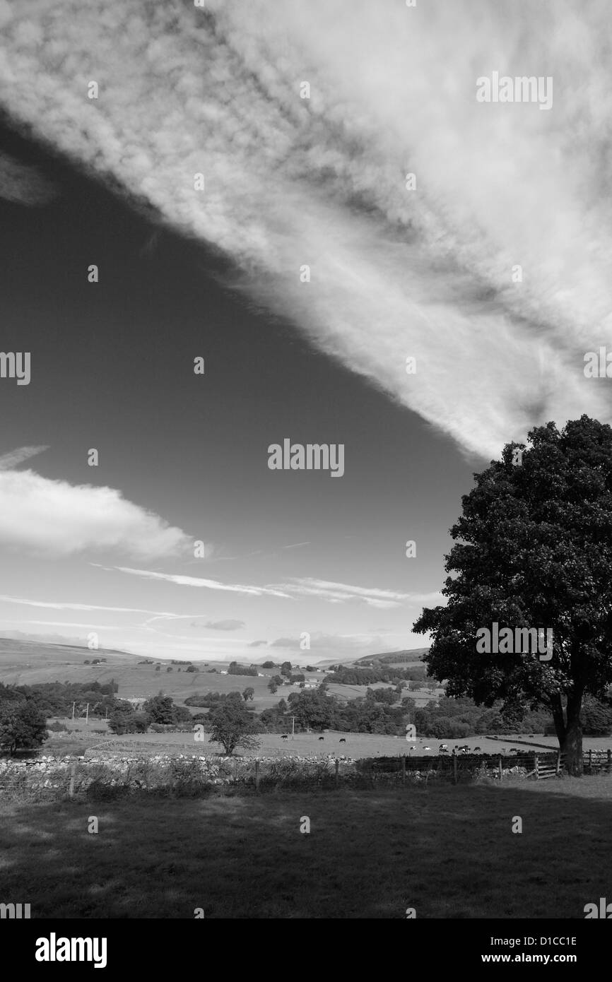 Panorama-Bild, Sommerlandschaft Blick über Middleton in Teesdale, Teesdale, County Durham, England, Großbritannien, UK Stockfoto