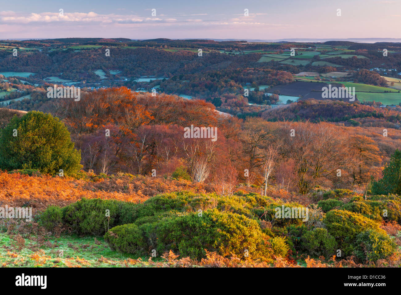 Blick über Yarner Wood am Rande Dartmoor National Park. Stockfoto
