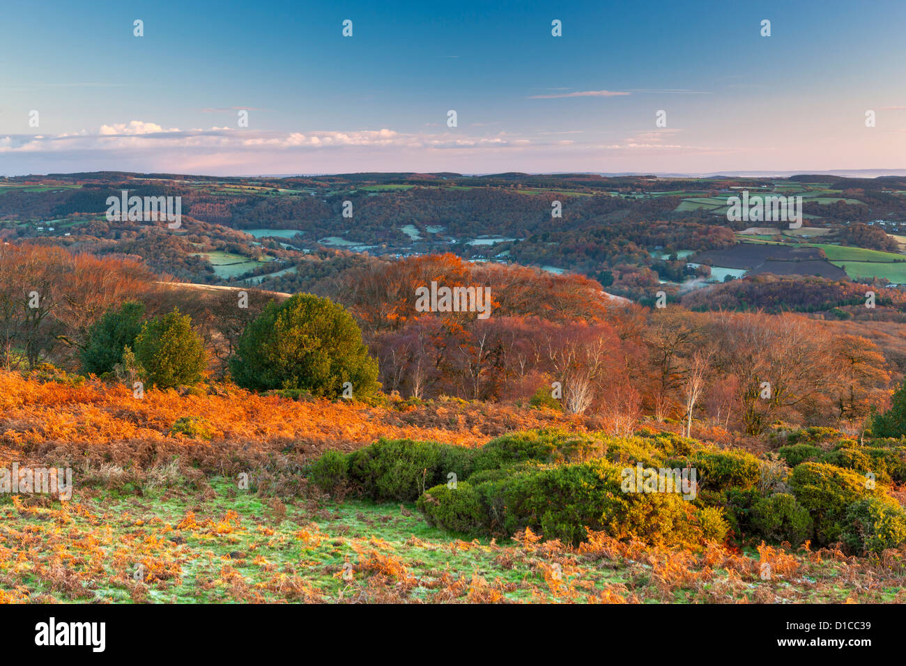 Blick über Yarner Wood am Rande Dartmoor National Park. Stockfoto