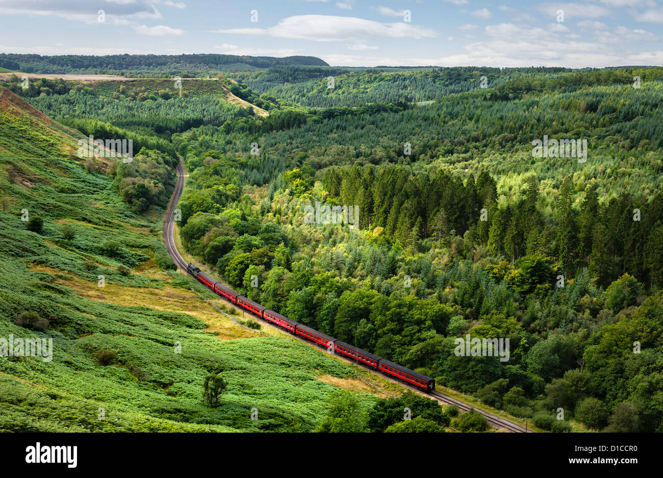 Dampfzug bewegt sich durch die North York Moors zwischen Goathland und Levisham, Yorkshire, Großbritannien an einem sonnigen Tag. Stockfoto
