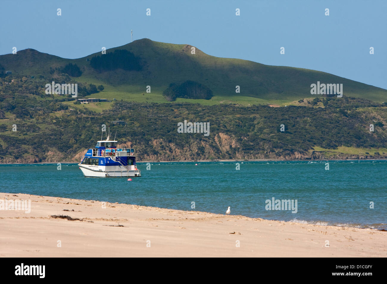 Boot in Hokianga Harbour, Nordinsel, Neuseeland ruhen. Stockfoto