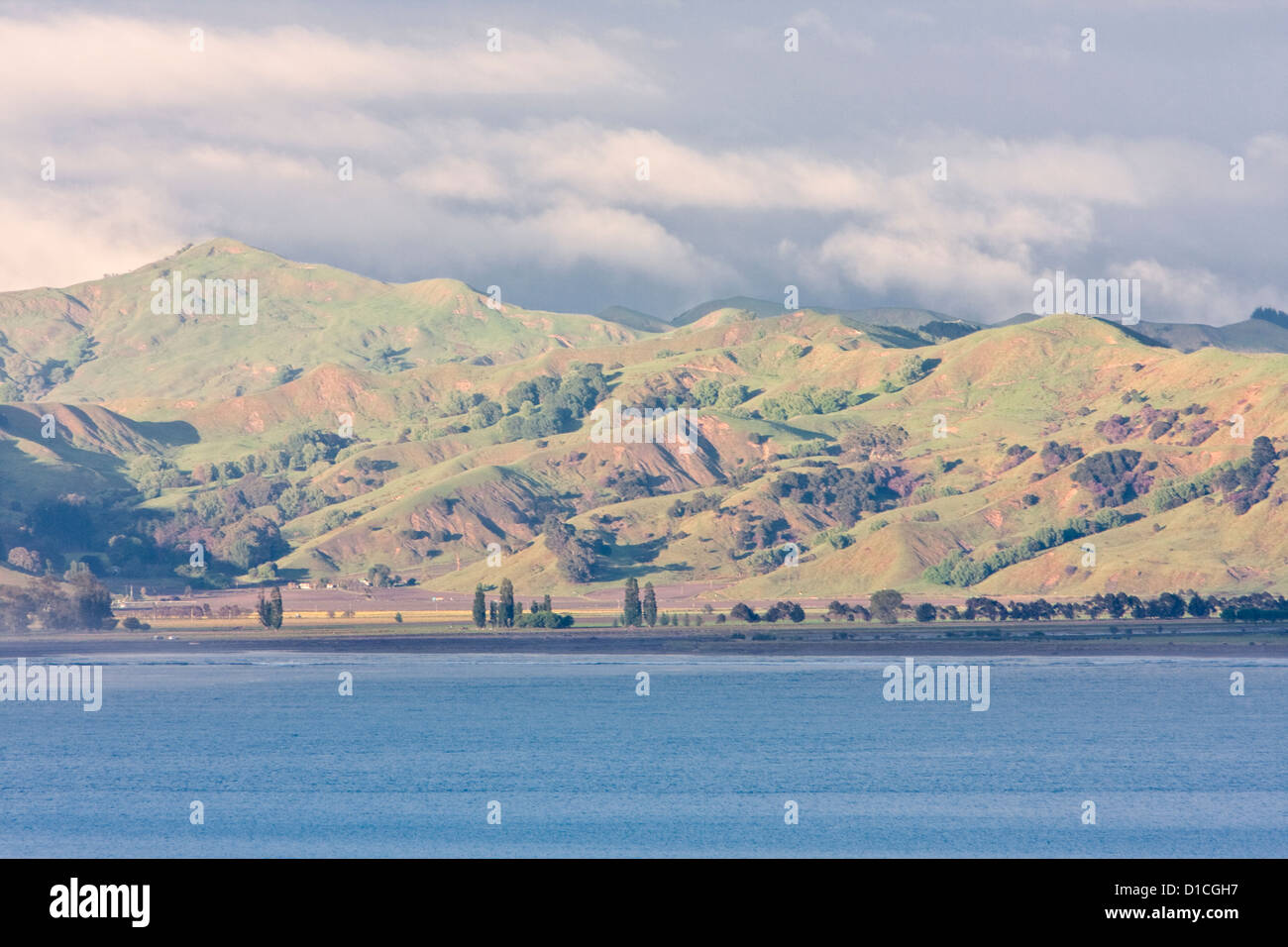 Blick über Poverty Bay, Gisborne, Nordinsel, Neuseeland. Stockfoto