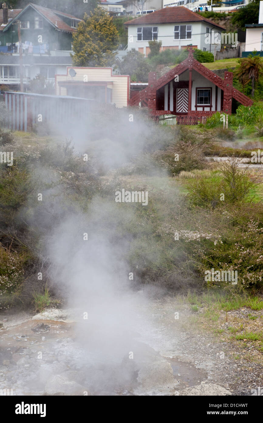 Geothermische Dampf strömt aus heißen Quellen und thermische Entlüftungsöffnungen in der Maori-Dorf Ohinemutu, einem Vorort von Rotorua, Neuseeland. Stockfoto