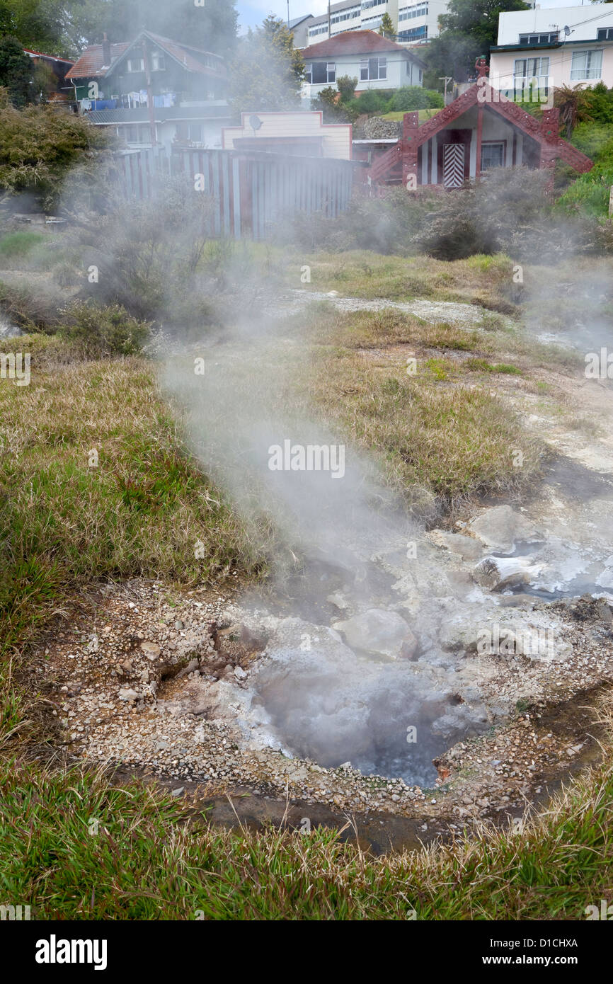 Geothermische Dampf strömt aus heißen Quellen und thermische Entlüftungsöffnungen in der Maori-Dorf Ohinemutu, einem Vorort von Rotorua, Neuseeland. Stockfoto