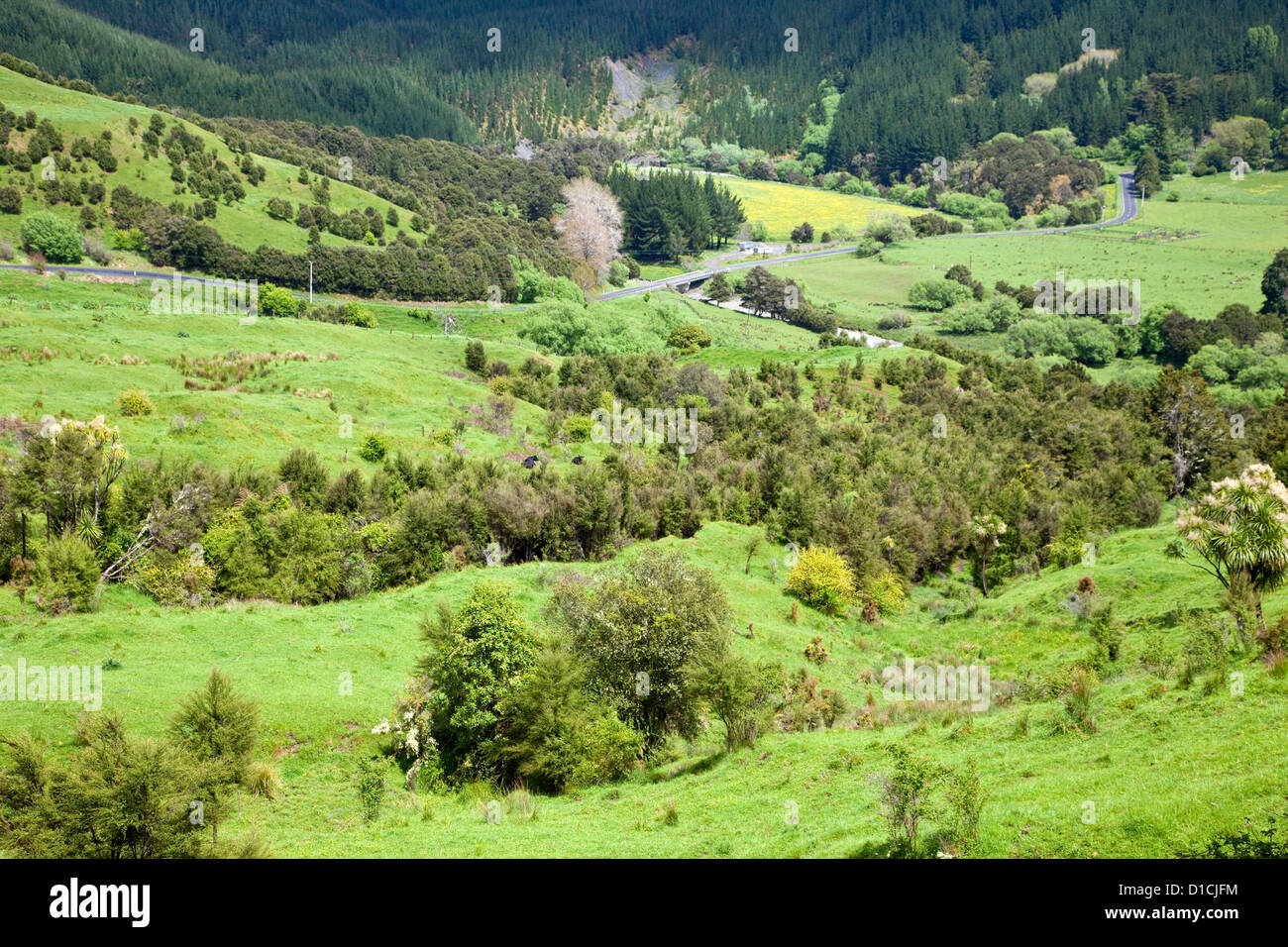 Blick vom Highway 35, East Cape, Nordinsel, südlich von Ruatoria, Neuseeland. Stockfoto