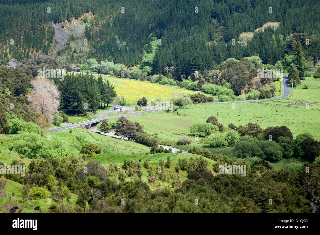 Blick vom Highway 35, East Cape, Nordinsel, südlich von Ruatoria, Neuseeland. Stockfoto