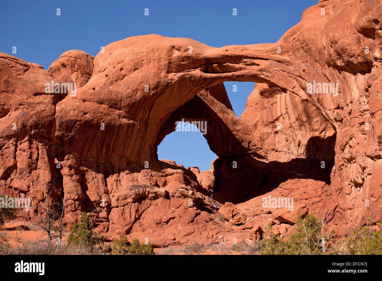 Besucher am The Double Arch im Arches National Park etwas außerhalb von Moab, Utah, United States of America, USA Stockfoto