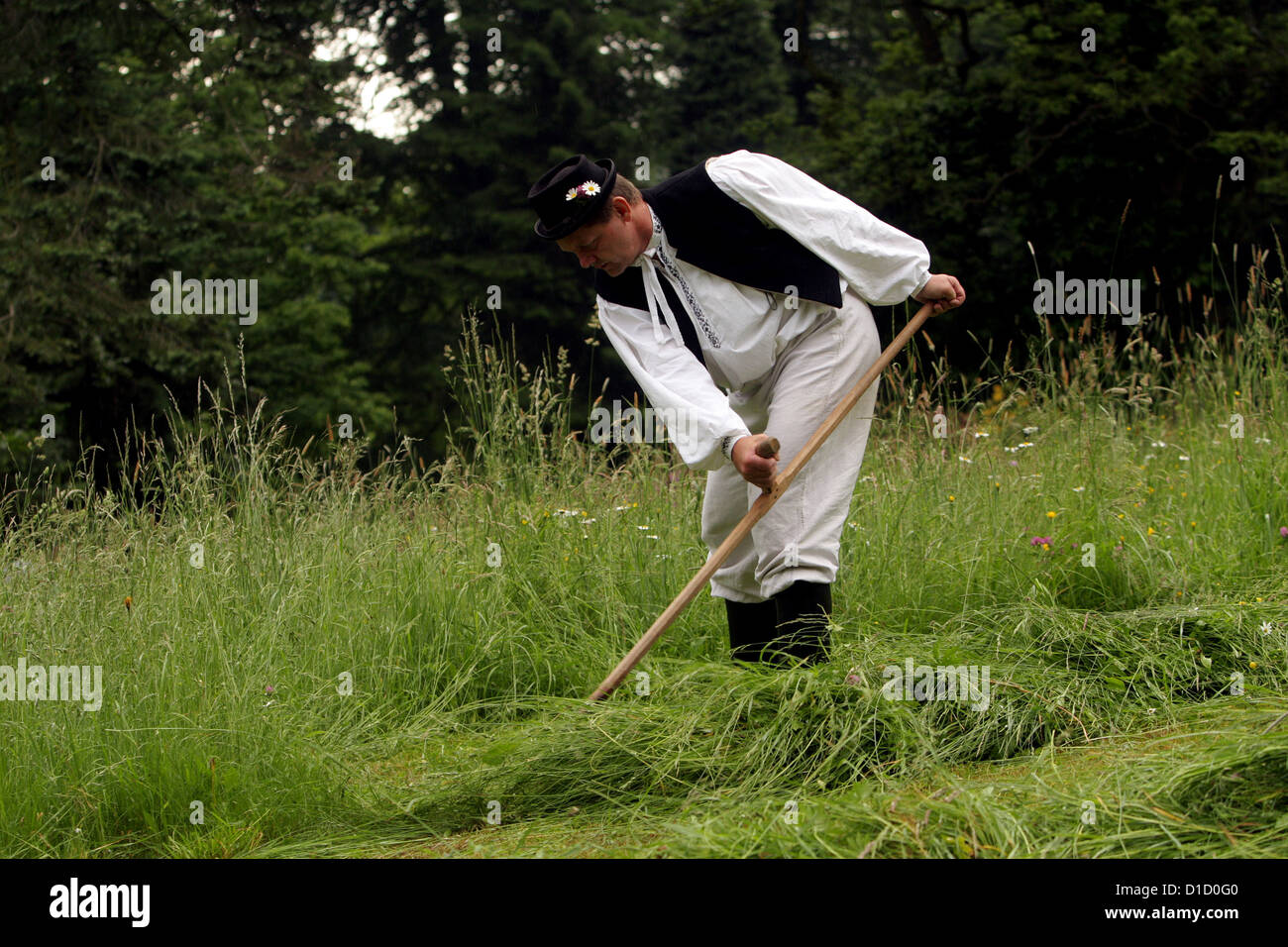 Mann schimend die Wiese in Volkskostüm Festival mähen Gras in Gärten Buchlovice Schloss Stockfoto