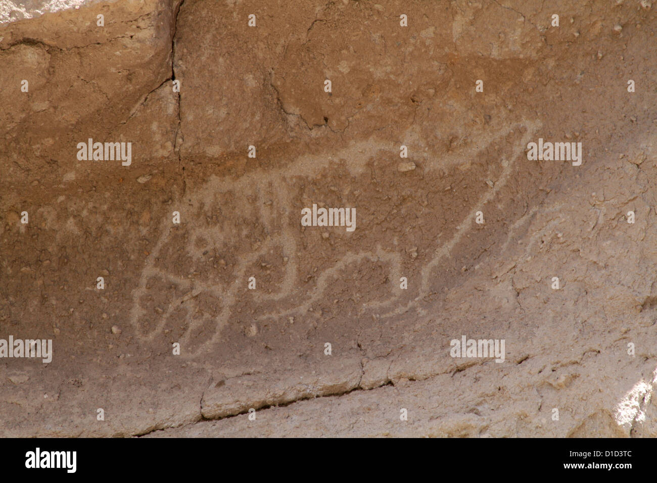 Ein Petroglyph von einem Papagei in Bandelier National Monument. Stockfoto