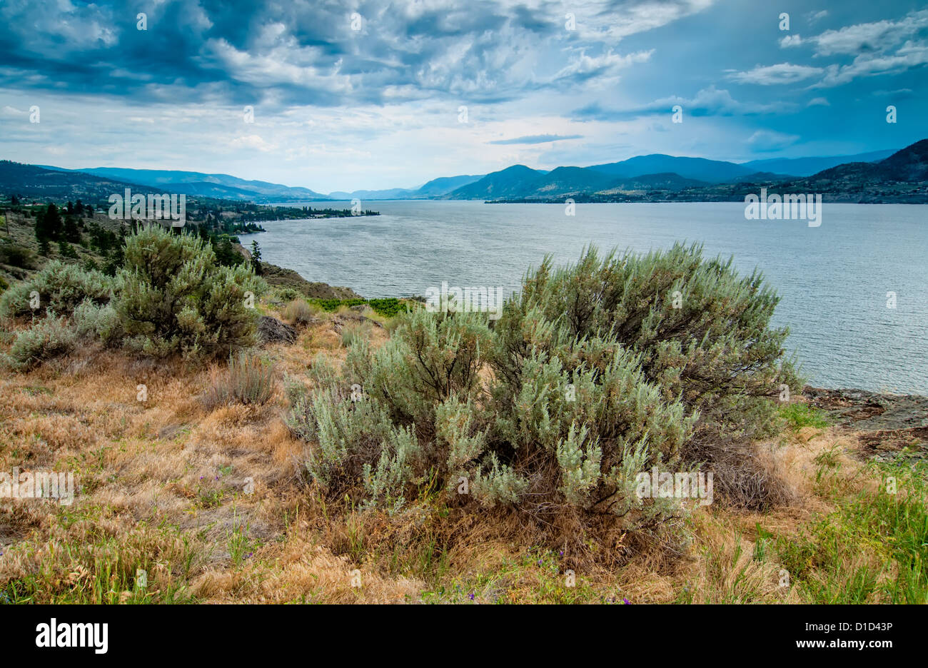 Okanagan Lake in der Nähe von Naramata Ansicht mit Pinsel Stockfoto