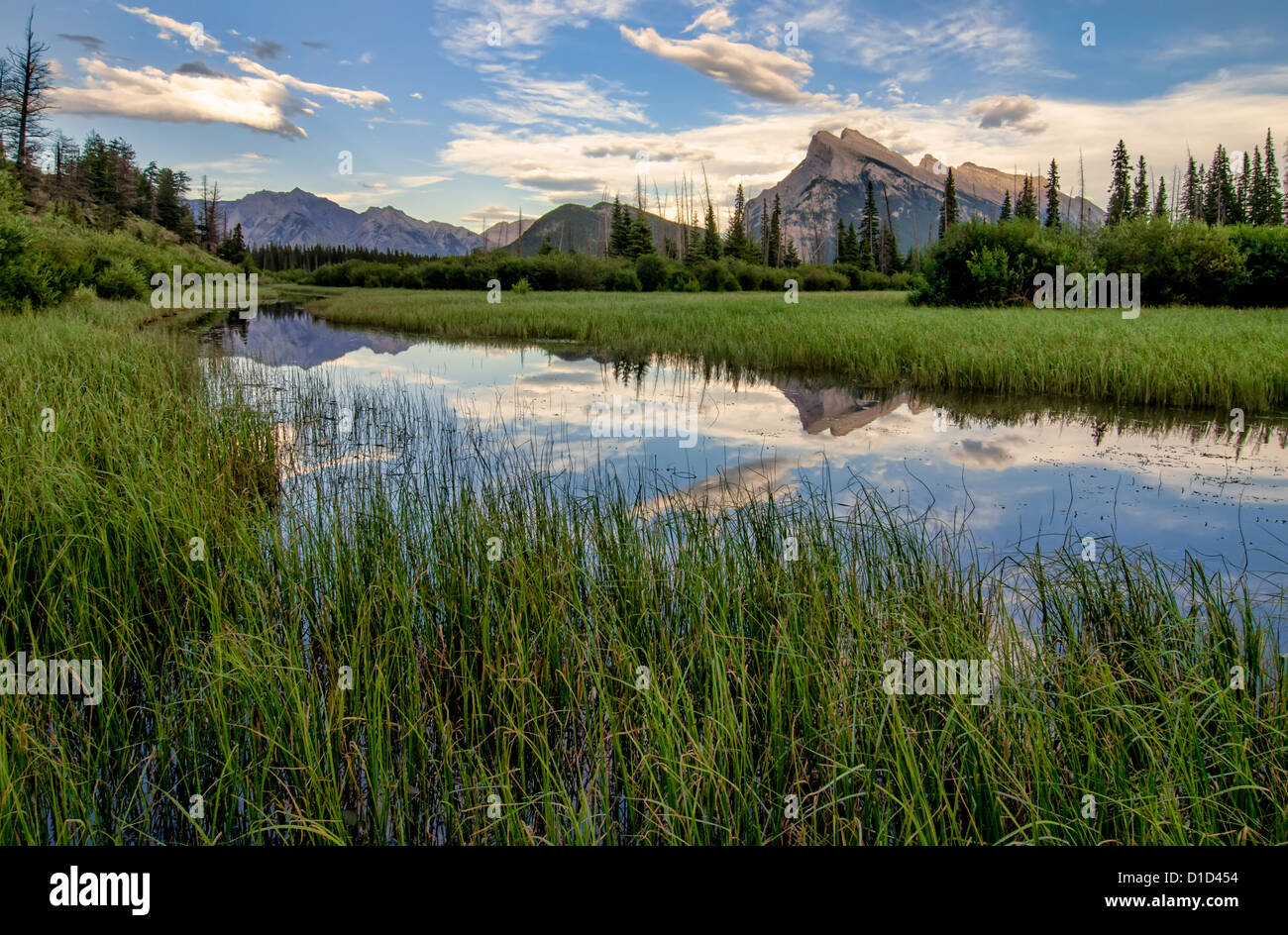 Sumpfgras rund um ein perfektes Spiegelbild der Rocky Mountains in Vermilion Seen. Stockfoto
