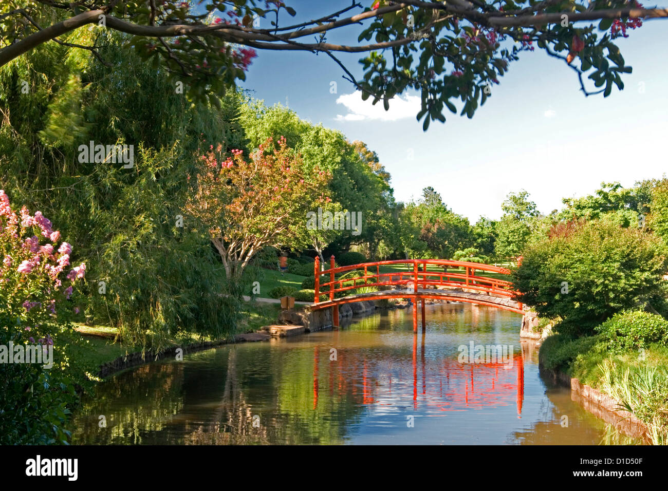 Japanischer Garten mit kunstvoll gewölbte Brücke spiegelt sich im blauen Wasser des Streams / Teich unter dekorativen Bäumen und Sträuchern Stockfoto