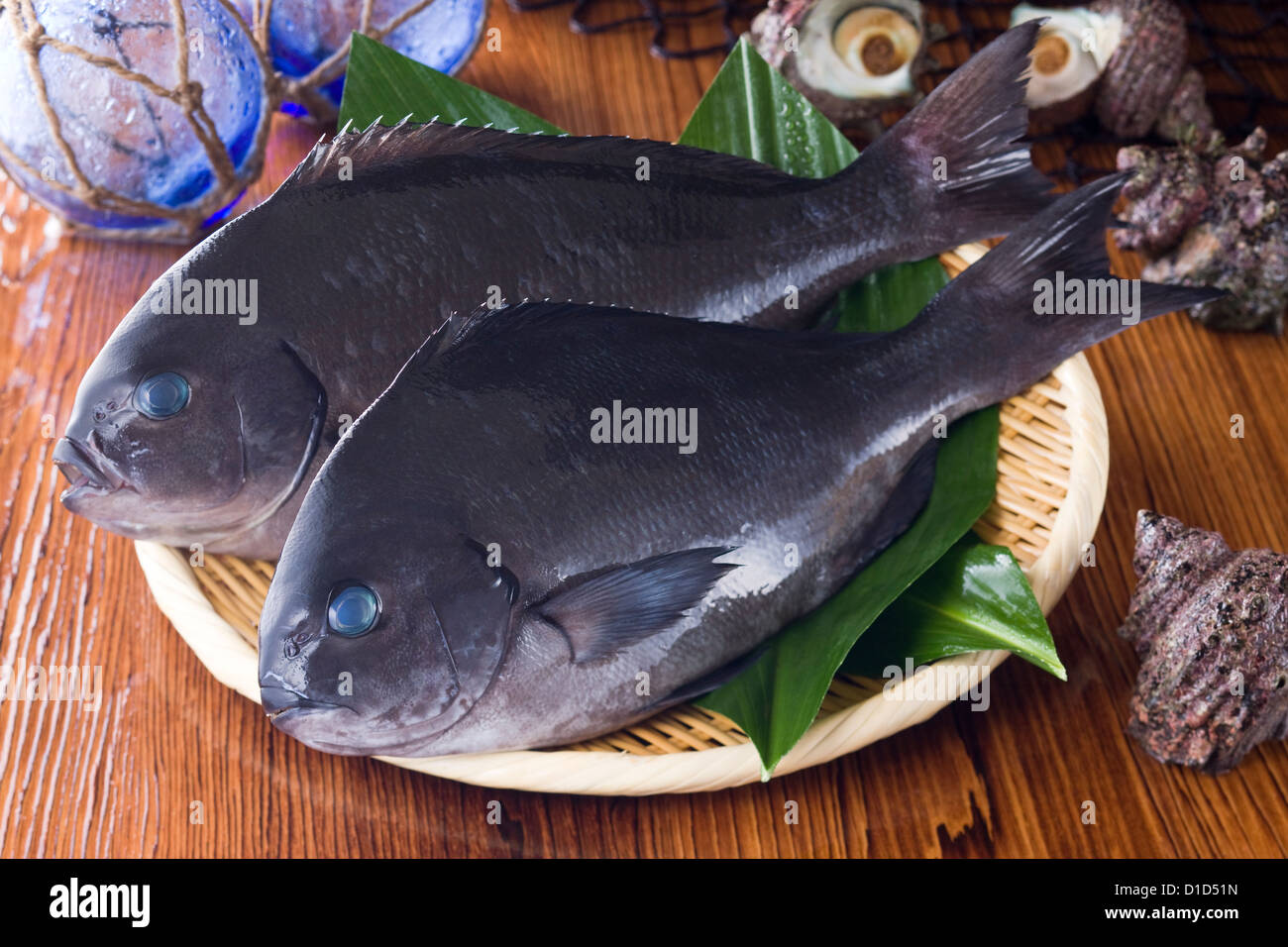 Großformatigen Blackfish Stockfoto