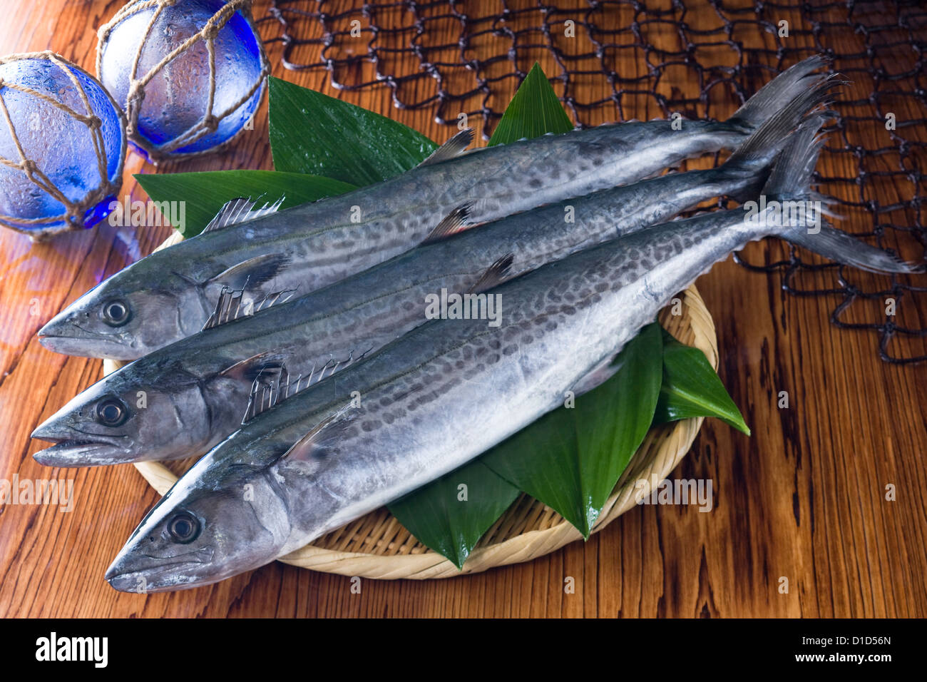 Japanische spanische Makrele Stockfoto