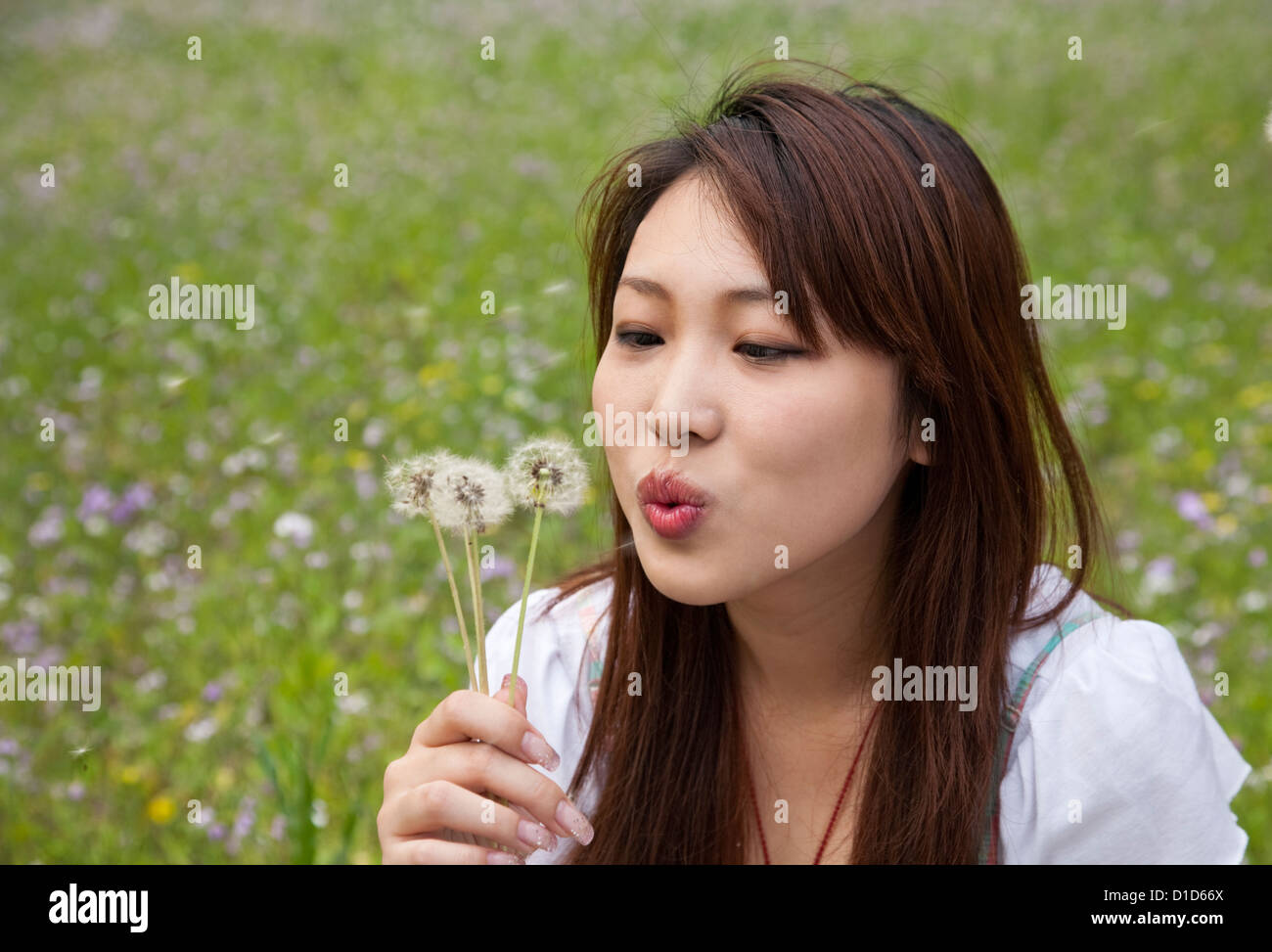Schöne junge Frau bläst Löwenzahn im Sommer Blumenfeld Stockfoto