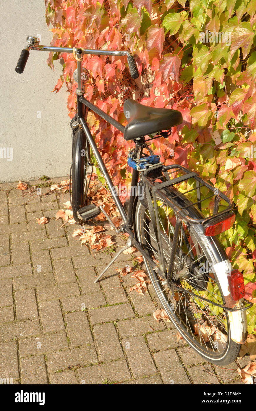 Fahrrad neben Wand mit Herbstlaub auf Reben. Schuss getroffen in Maastricht in Limburg, Niederlande Stockfoto