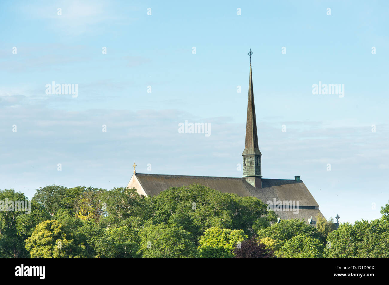 Vadstena Abbey, skandinavische Kirche in Naturlandschaft, umgeben von Bäumen im Sommer. Stockfoto