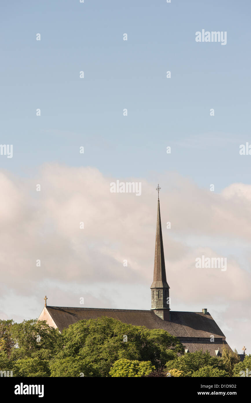Vadstena Abbey, skandinavische Kirche in Naturlandschaft, umgeben von Bäumen im Sommer. Stockfoto